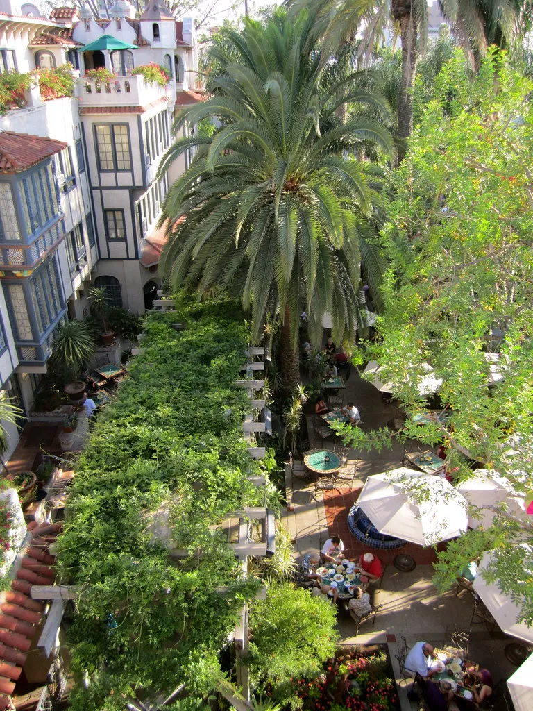 photo of a courtyard cafe shaded by trellised vines and a palm tree. People are sitting around small colorful tables eating and drinking. The buildings around the courtyard have friendly-looking windows and balconies.