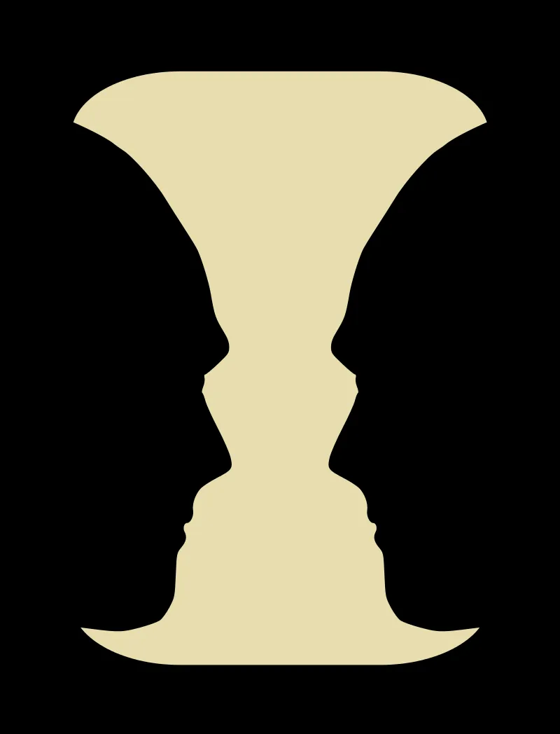 the Rubin's Vase illusion, in which either two faces or a vase can be seen